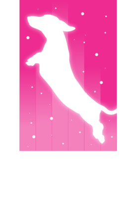 Lichthund